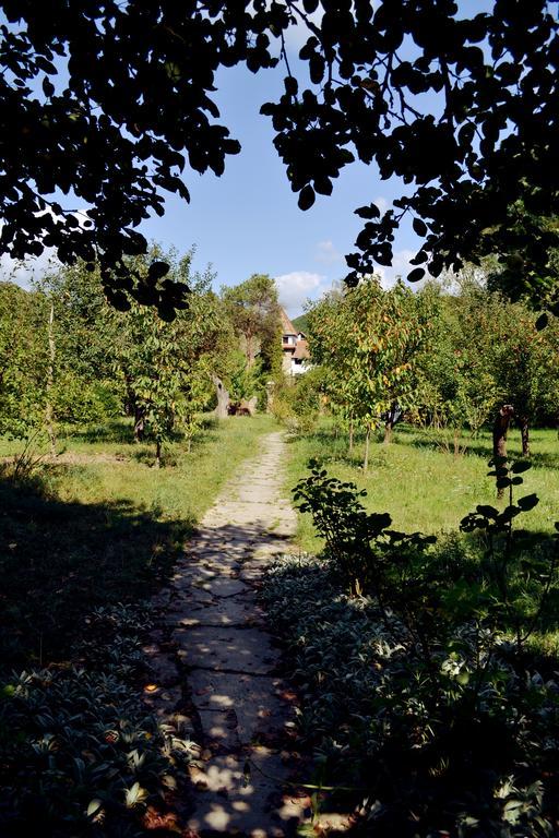 Villa Castelul Maria Banpotoc 외부 사진