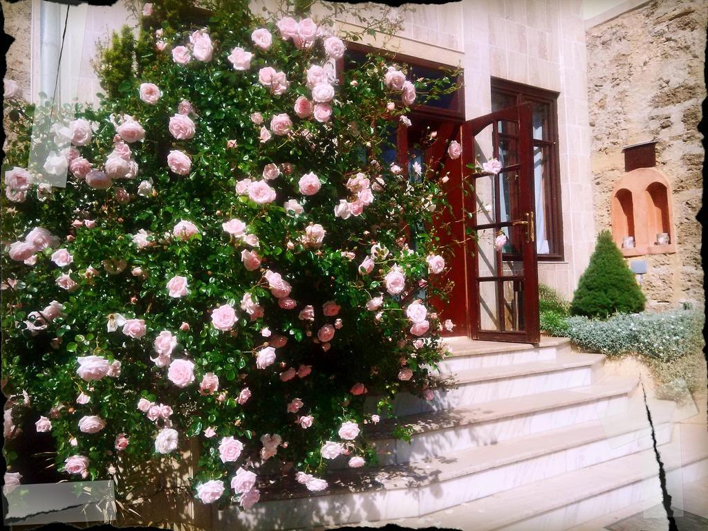Villa Castelul Maria Banpotoc 외부 사진