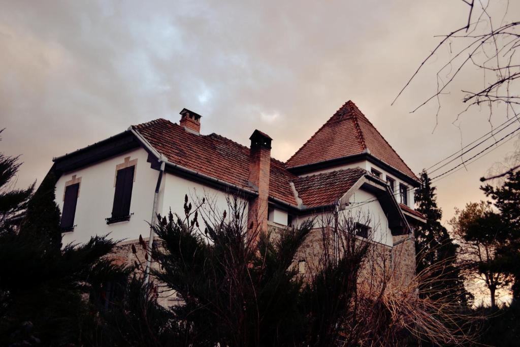 Villa Castelul Maria Banpotoc 외부 사진