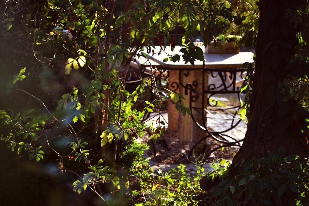 Villa Castelul Maria Banpotoc 외부 사진