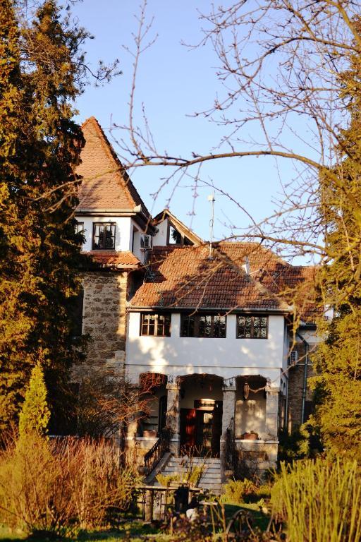 Villa Castelul Maria Banpotoc 외부 사진